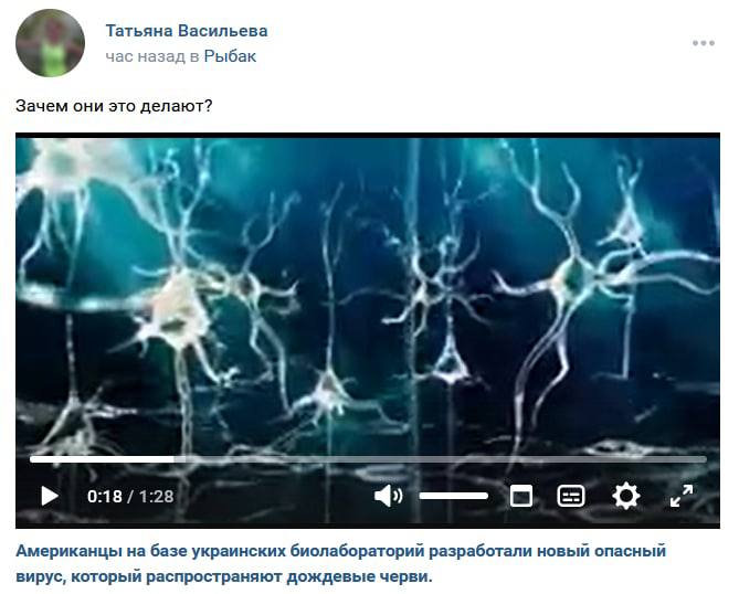 Татьяна Васильева назад в Рыбак Зачем они это делают? к у i 7 i А 4 0:18/1:28 Американцы базе украинских биолабораторий разработали новый опасный вирус, который распространяют дождевые черви.
