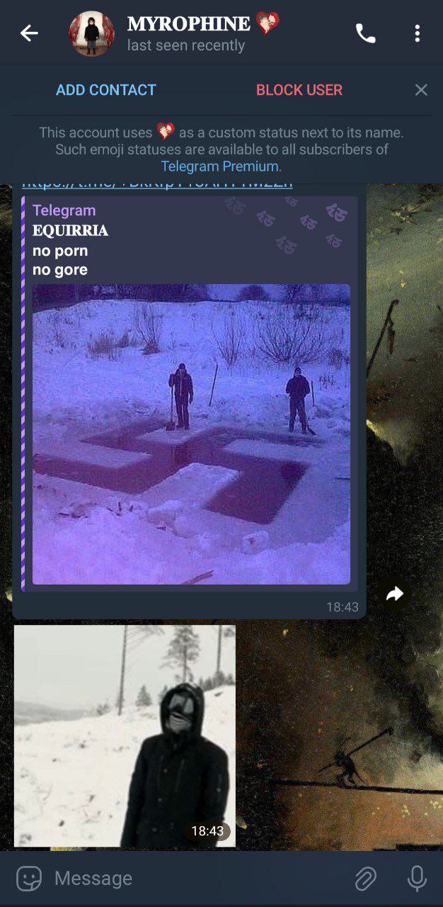 Be warned, this weirdo has been sending round messages to random people in the chat. Very likely a CIA agent attempting entrapment since whoever it is has been doing it completely unprompted. Block an