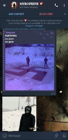 Be warned, this weirdo has been sending round messages to random people in the chat. Very likely a CIA agent attempting entrapment since whoever it is has been doing it completely unprompted. Block an