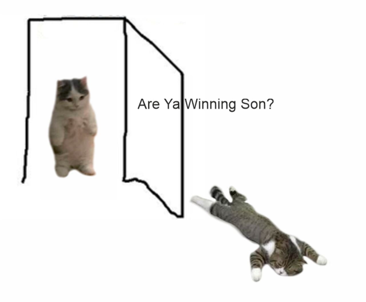 Winning Son?