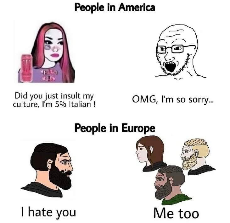 People America Did you just insult my culture, 5% Italian OMG, so sorry People in Europe hate you Me too