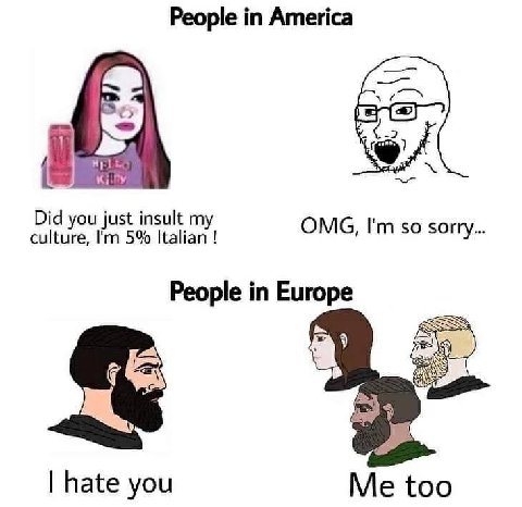 People America Did you just insult my culture, 5% Italian OMG, so sorry People in Europe hate you Me too