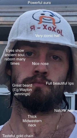 Powerful aura Very iconic hat Eyes show ancient soul, reborn many times Nice nose Great beard Full beautiful lips (Eg:Waylon Jennings) Natural Thick 7 Midwestern песк Tasteful gold chain