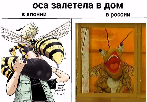 оса залетела в дом В ЯПОНИИ в россии