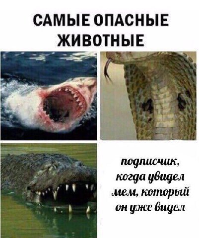 САМЫЕ ОПАСНЫЕ ЖИВОТНЫЕ когда увидел который онуже видел