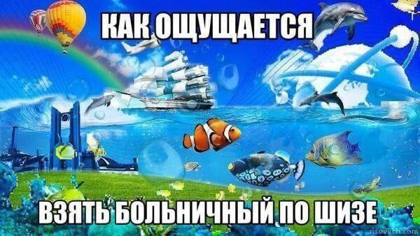 НАКОЩУЩАЕТСЯ, at ВЗЯТЬ`БОЛЬНИЧНЫЙ ПО ШИЗЕ