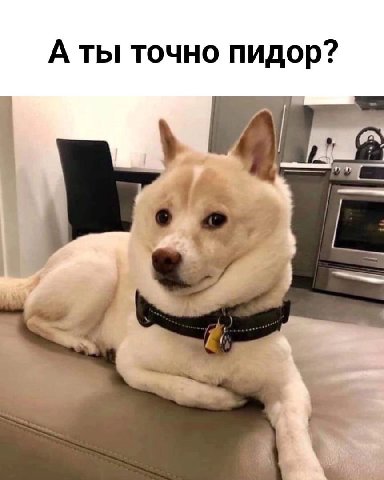 А ты точно пидор?