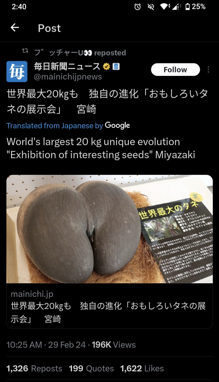 2:40 025% Post 7 reposted @mainichijpnews Translated from Japanese Google World's largest 20 unique evolution "Exhibition of interesting seeds" Miyazaki mainichi.jp 10:25 29 Feb 24 Views 1,326 Reposts