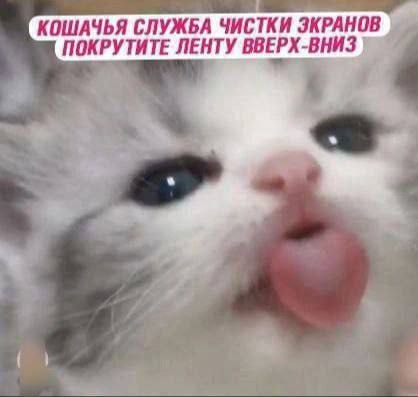 КОШАЧЬЯ СЛУЖБА ЧИСТКИ ЭКРАНОВ ПОКРУТИТЕ ЛЕНТУ ВВЕРХ -ВНИЗ