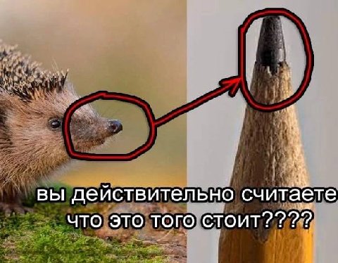 A вы действительно считаете что это того
