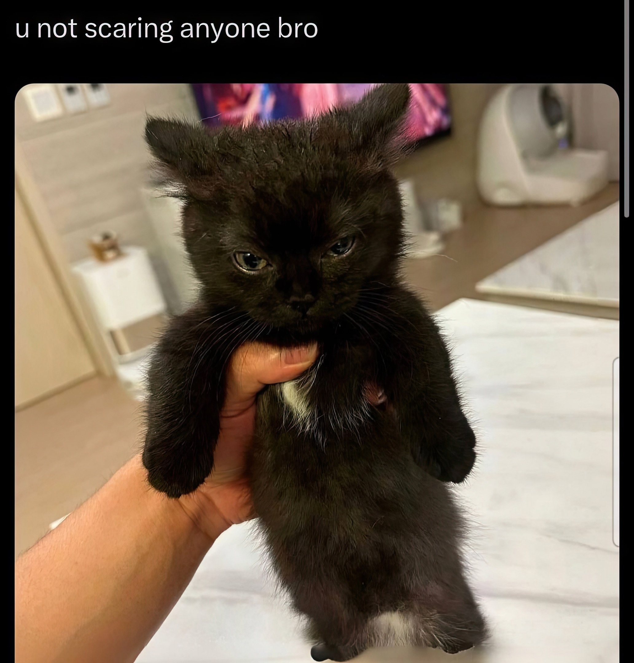 и not scaring anyone bro