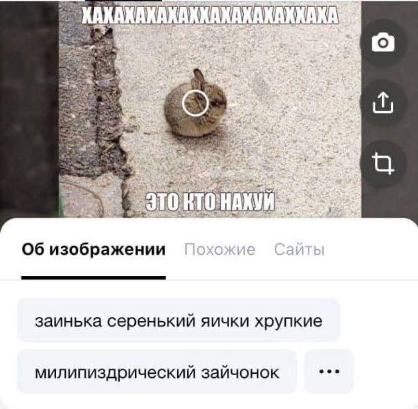 a Об изображении заинька серенький яички хрупкие милипиздрический зайчонок
