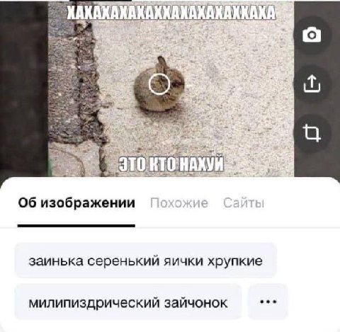 a Об изображении заинька серенький яички хрупкие милипиздрический зайчонок