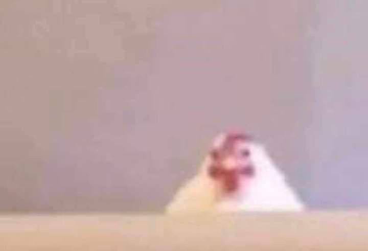 Я