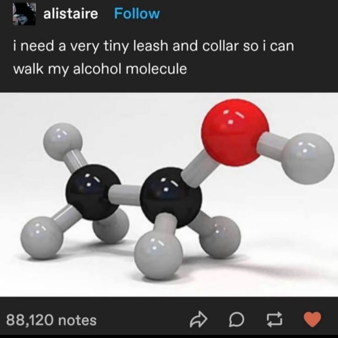 alistaire Follow i need a very tiny leash and collar soi can walk my alcohol molecule 88,120 notes