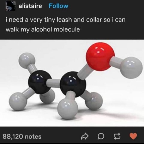 alistaire Follow i need a very tiny leash and collar soi can walk my alcohol molecule 88,120 notes