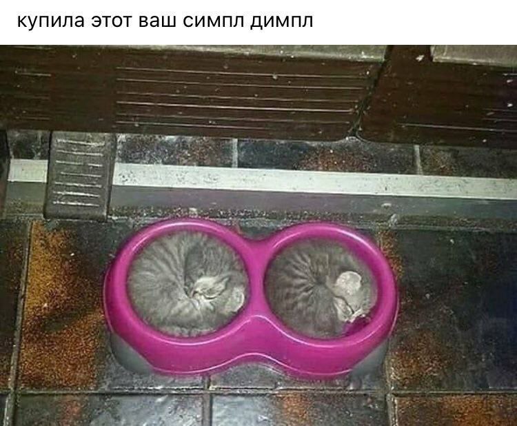купила этот ваш симпл димпл