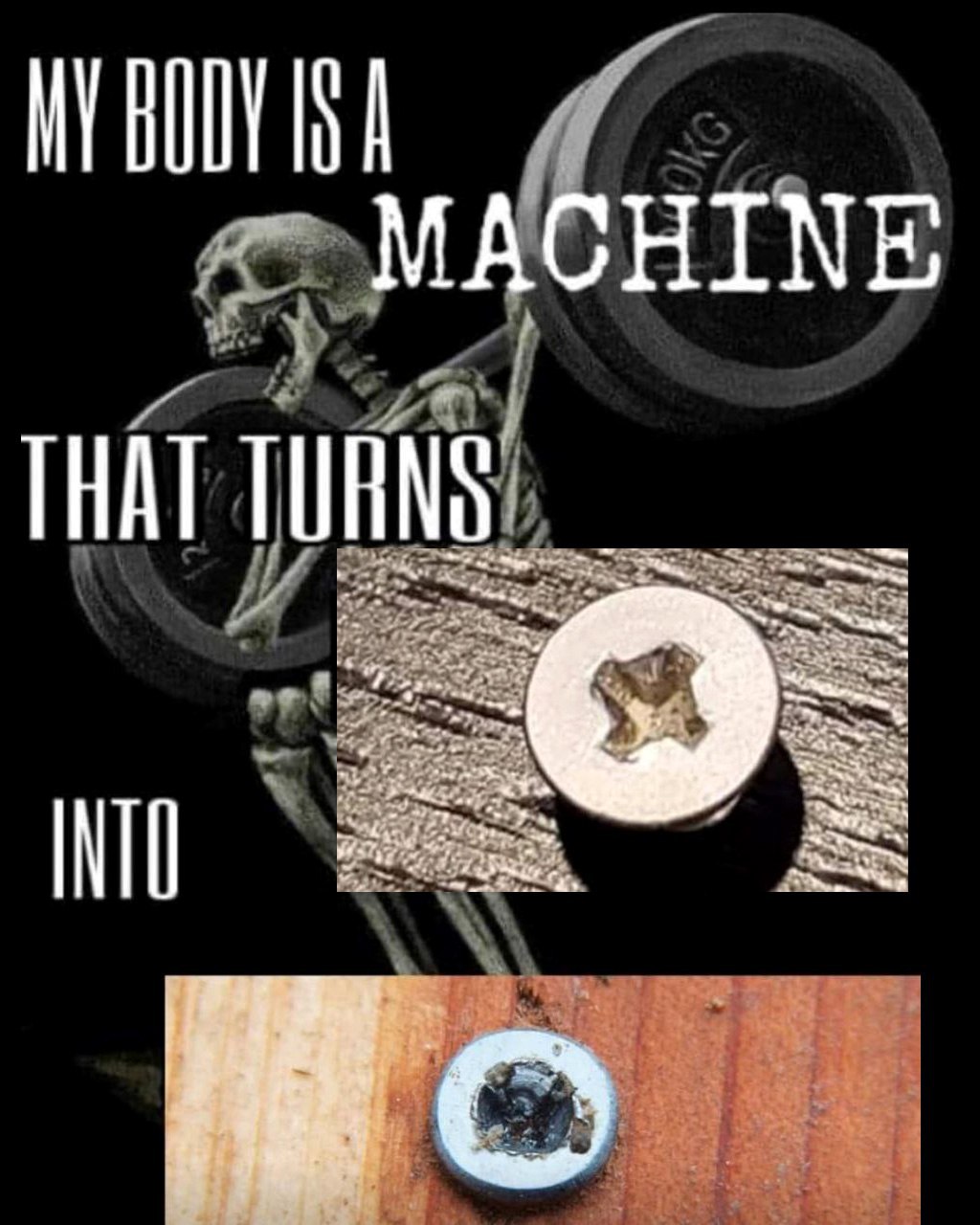 MY BODY MACHINE