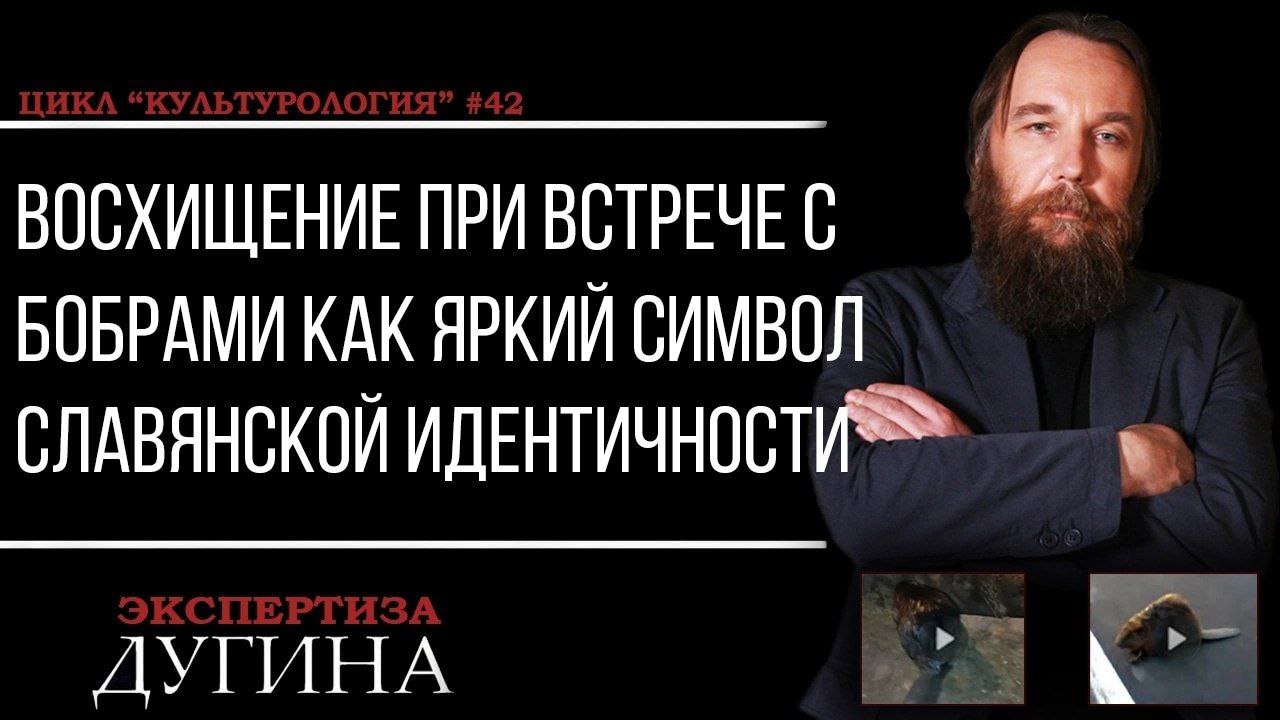 ВОСХИЩЕНИЕ ПРИ ВСТРЕЧЕ БОБРАМИ КАК ЯРКИЙ СИМВОЛ СЛАВЯНСКОЙ ИДЕНТИЧНОСТИ ДУГИНА
