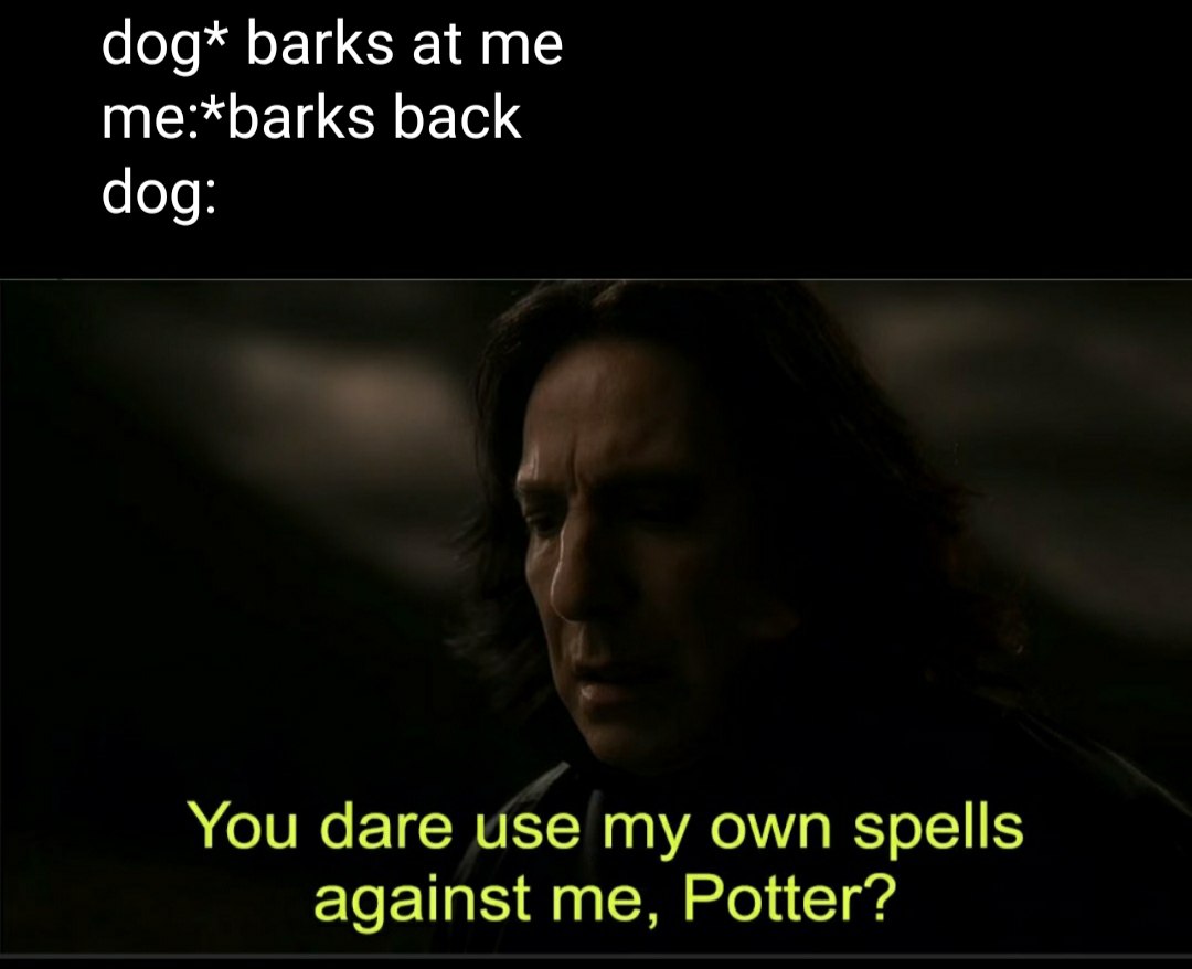 dog* barks at me:*barks back dog: You dare use my own spells against me, Potter?
