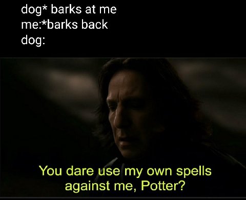 dog* barks at me:*barks back dog: You dare use my own spells against me, Potter?