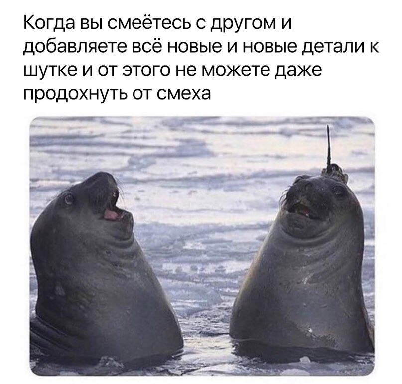 Когда вы смеётесь с другом и добавляете всё новые и новые детали к шутке и от этого не можете даже продохнуть от смеха