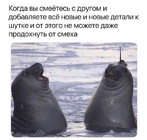 Когда вы смеётесь с другом и добавляете всё новые и новые детали к шутке и от этого не можете даже продохнуть от смеха