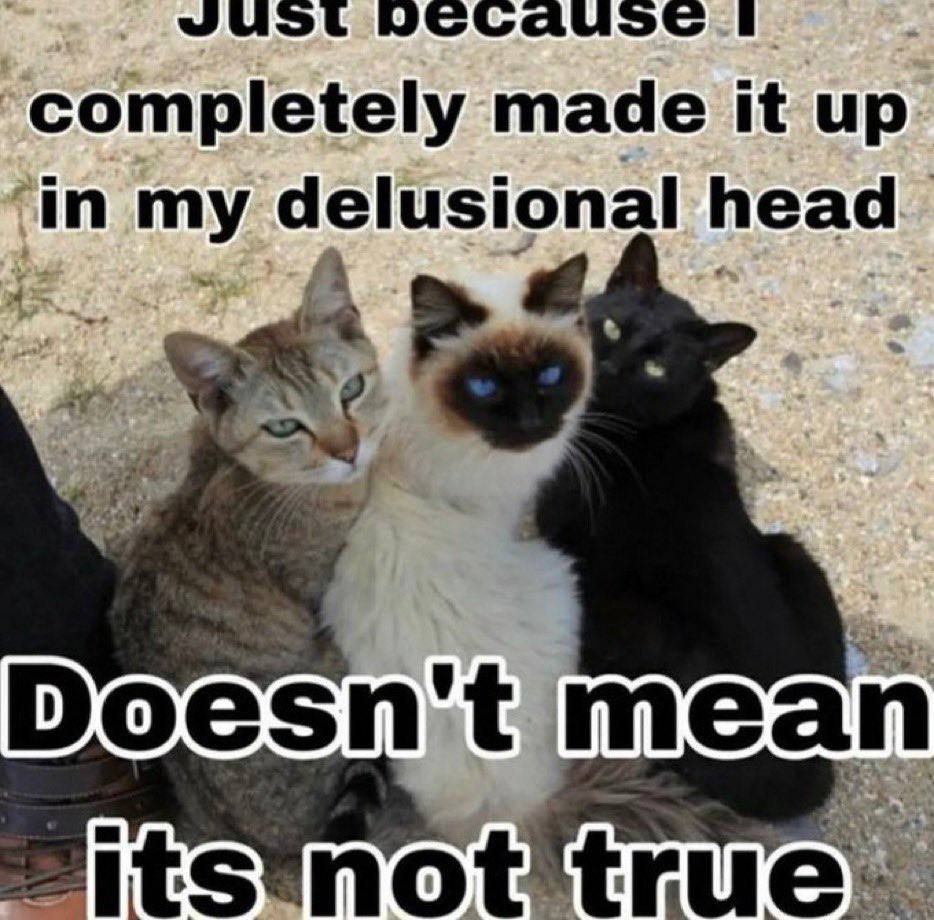 I completely made it up in my delusional i 4 Doesn't mean it
