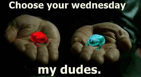 Choose your wednesday my dudes.