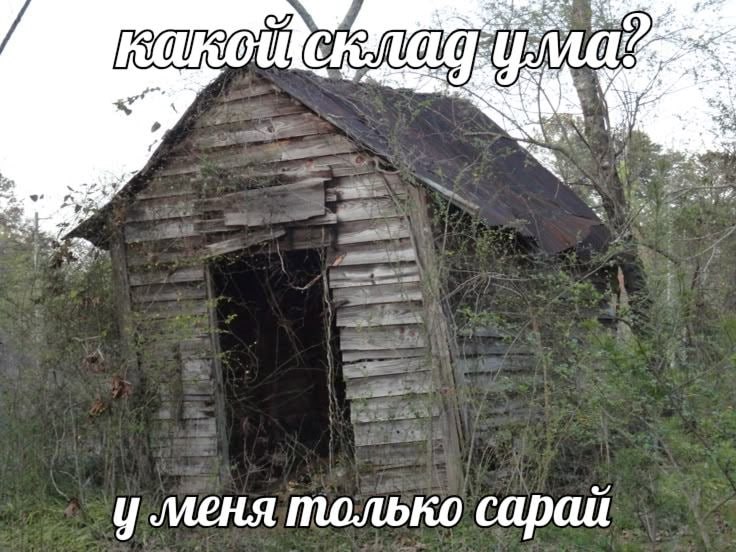 меня только сараи