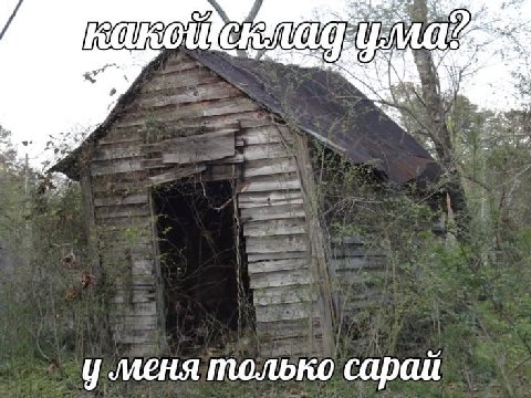 меня только сараи