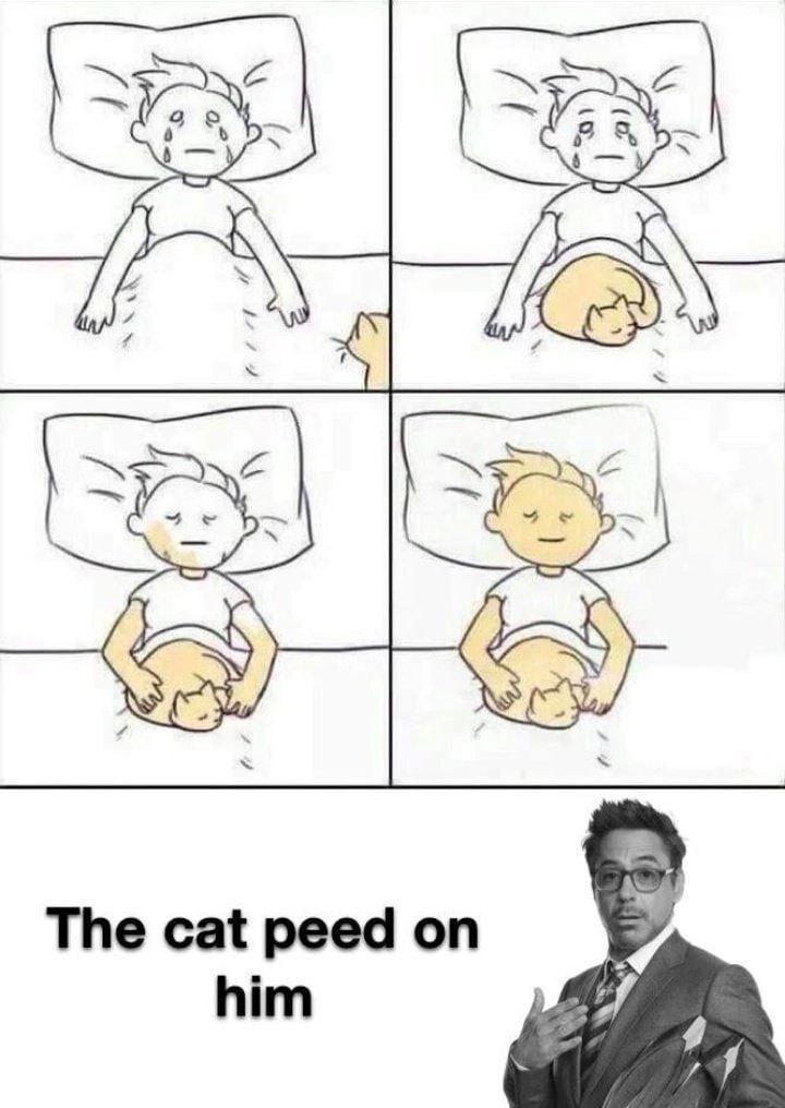 [4 lax The cat peed on him