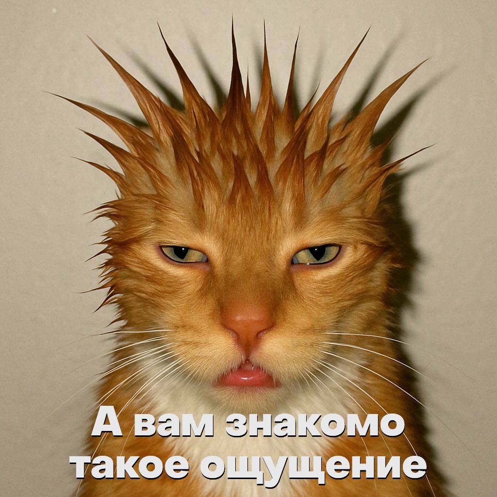 4 А вам знакомо такое ощущение