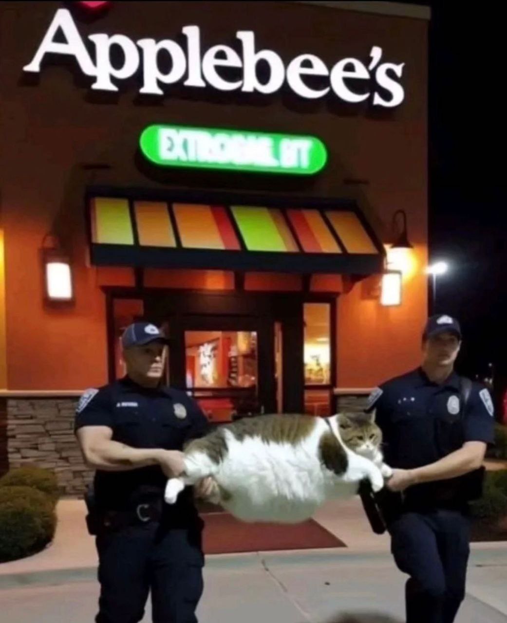 👤 empörung