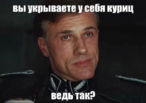 вы укрываете у себя куриц ведь така