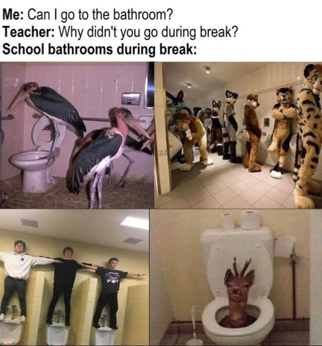 Me: Can to the bathroom? Teacher: Why didn't you during break? School bathrooms during break: