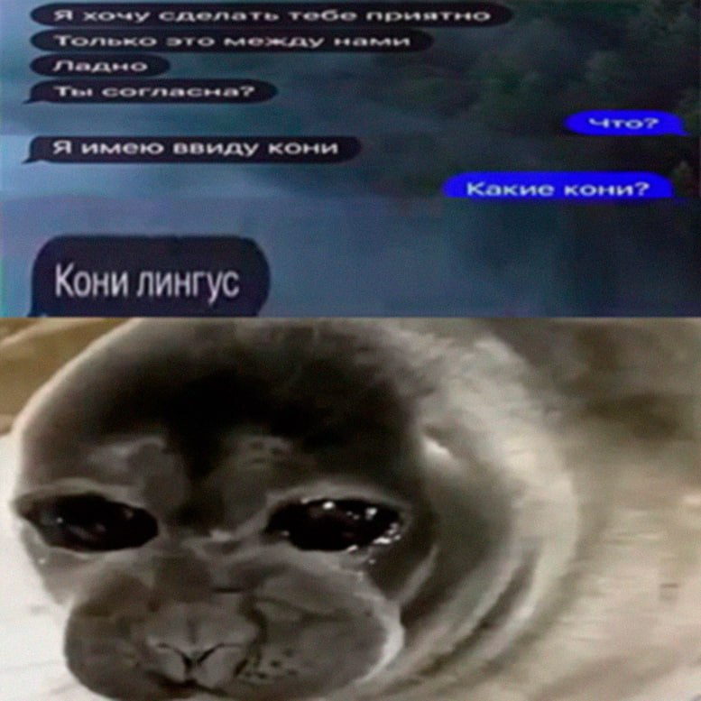 Tet Какые коны? Кони лингус