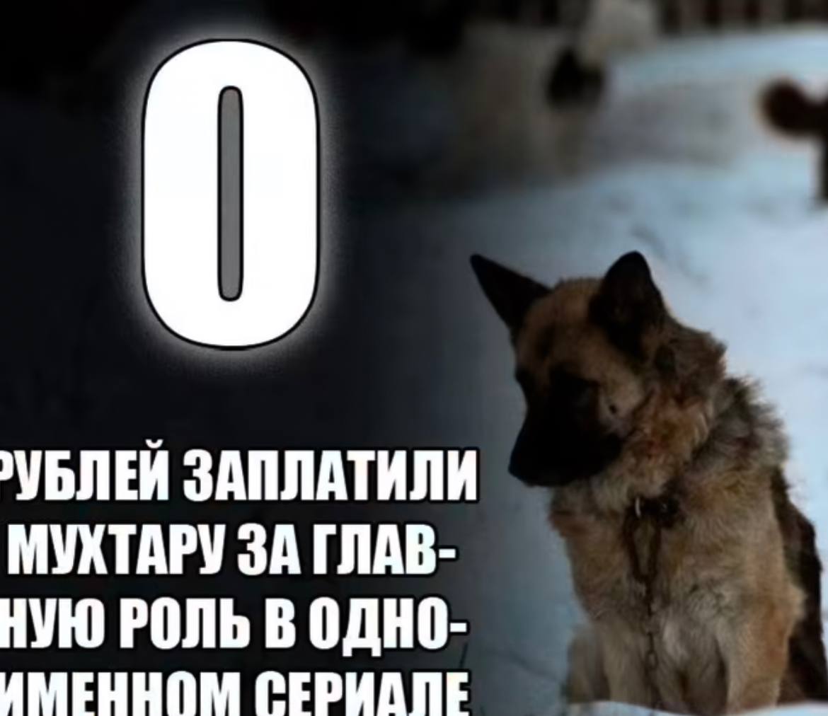 ›УБЛЕЙ ЗАПЛАТИЛИ МУХТАРУ ЗА ГЛАВ- НУЮ РОЛЬ В ИМЕННОМ