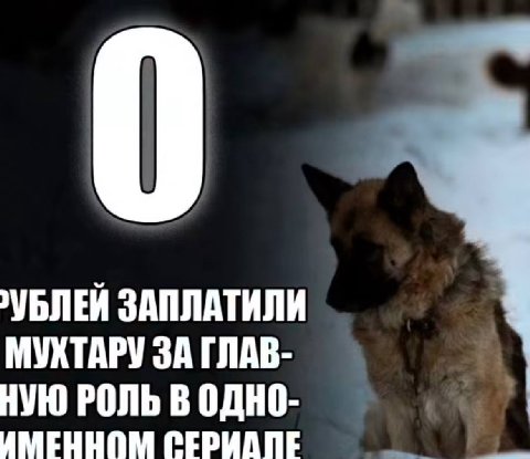 ›УБЛЕЙ ЗАПЛАТИЛИ МУХТАРУ ЗА ГЛАВ- НУЮ РОЛЬ В ИМЕННОМ