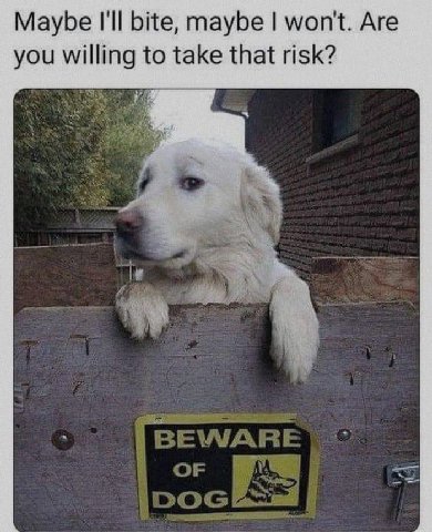 Maybe I'll bite, maybe won't. Are you willing to take that risk?