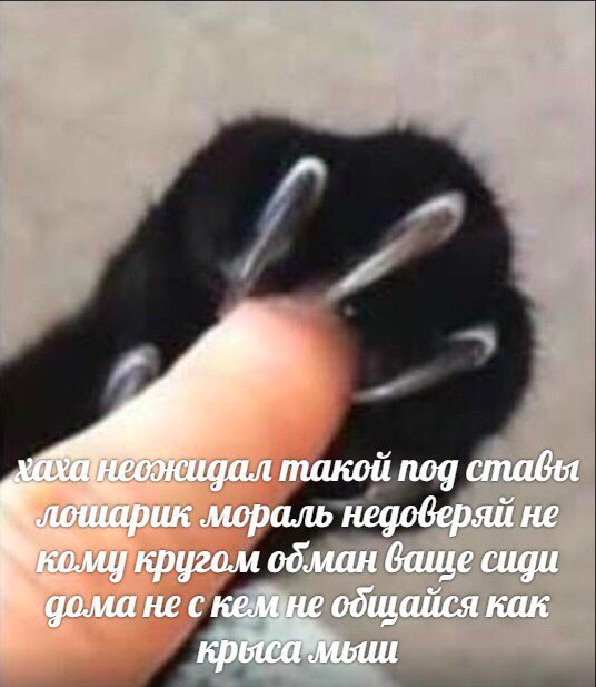 такой под дошарик мораль недоверяй не Кому кругом ваще сиди дома не с одщайся как мьии