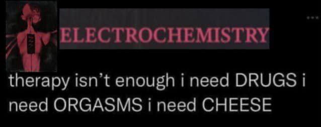 ELECTROCHEMISTRY therapy isn’t enough i need DRUGS i need ORGASMS i need CHEESE
