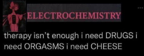 ELECTROCHEMISTRY therapy isn’t enough i need DRUGS i need ORGASMS i need CHEESE