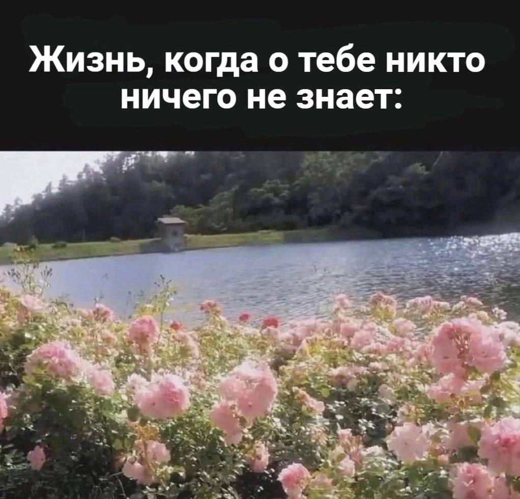 Жизнь, когда о тебе никто ничего не знает: