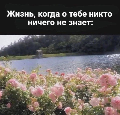 Жизнь, когда о тебе никто ничего не знает: