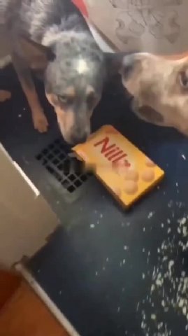 мем