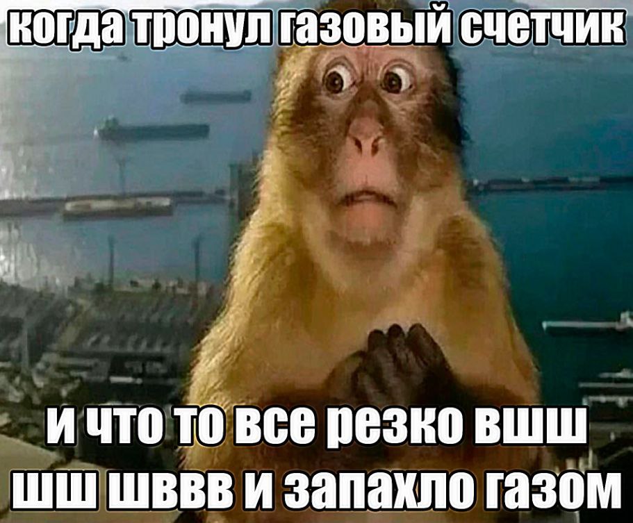 тронултазовый счетчик и! ИЧТО то все резко вшш И Запахло газом