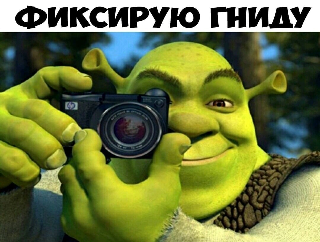 ФИКСИРУЮ ГНИДУ