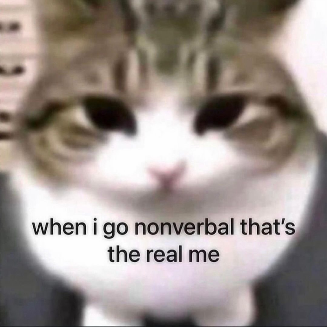 a when i nonverbal that’s the real me