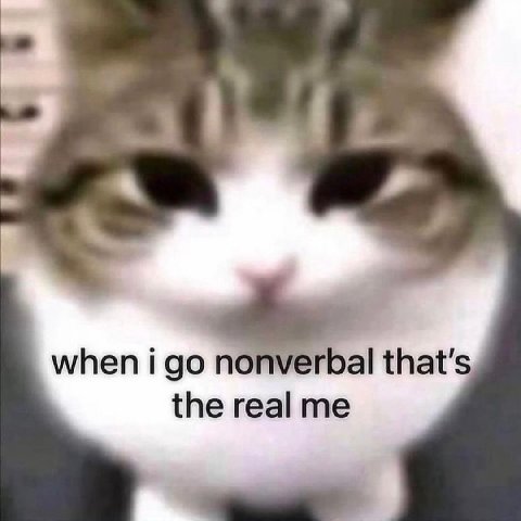 a when i nonverbal that’s the real me